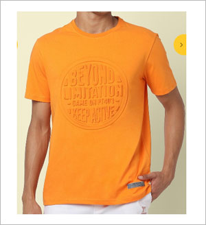 Polo T-Shirts / Cotton T-Shirts / Stripper T-Shirt / Printed T-shirts