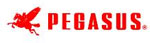 pegasus  distributors dealers suppliers in india punjab ludhiana